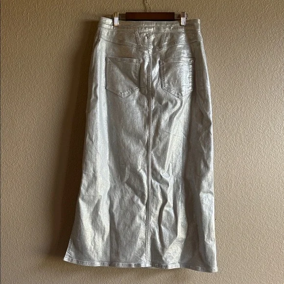 Anthropologie Silver Maxi Skirt - Picture 6 of 7